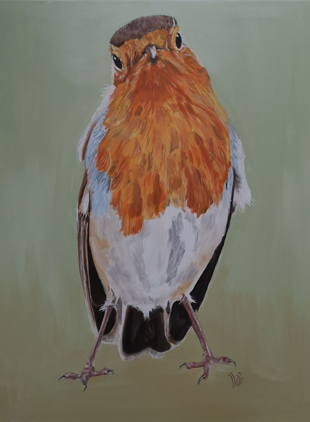 2. Giant robin "What are you looking at"60x80 cm