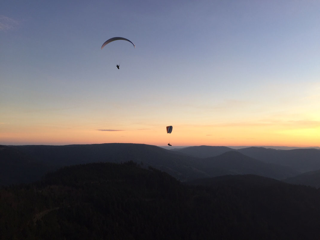 Gleitschirmschule Air-Time Paragliding im Schwarzwald Flugschule Oberkirch Gleitschirmflugschule Übungshang in Oppenau