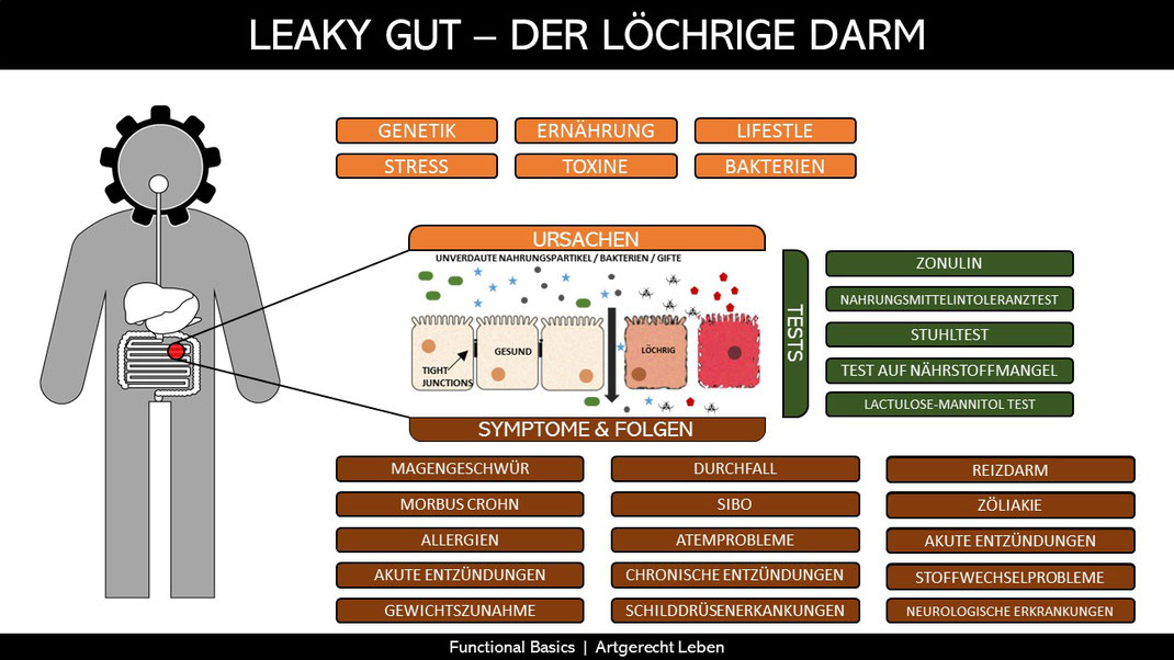 Leaky gut Auswirkungen