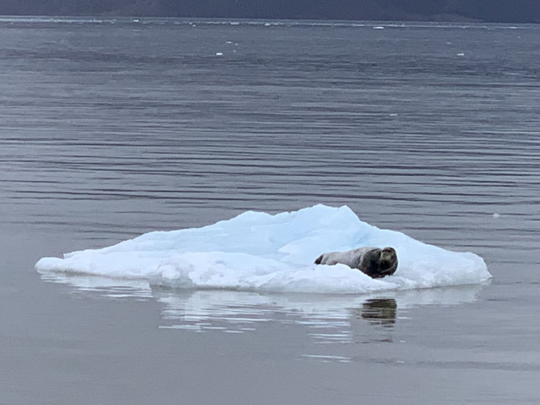 Spitbergen, Svalbard, Islfjord, Pyramiden, 