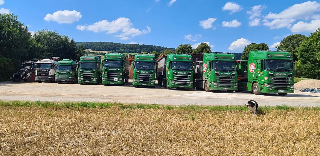 Forstteam Copei, Baumfällung, Transporte, Brennholz, LKW, Bagger, Baggerarbeiten, Brevörde, Manuel Copei