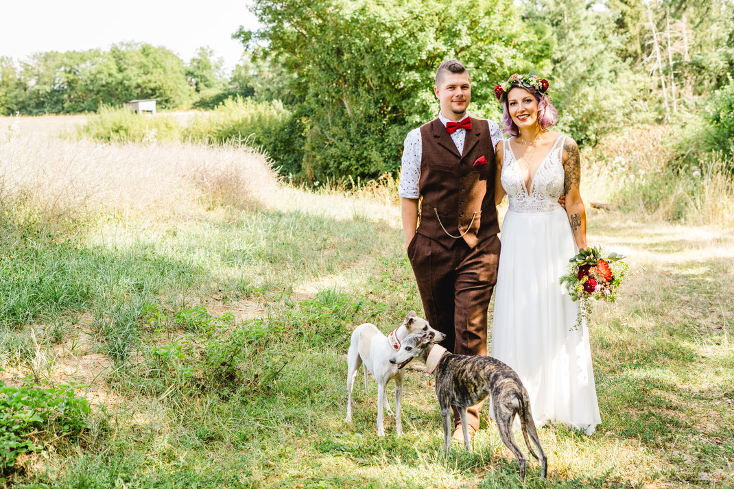 Brautpaar mit Hunden auf Wiese