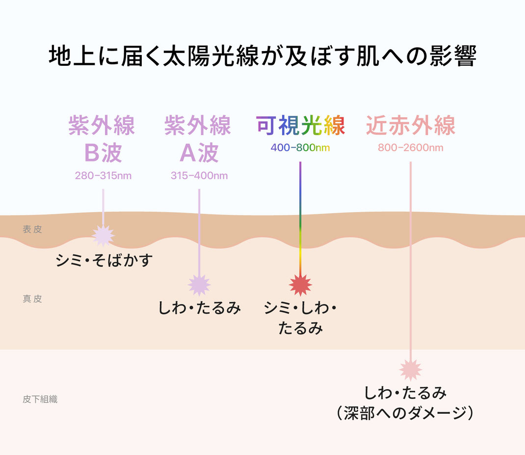 <太陽光線が肌に及ぼす影響を簡略化して示したものです>