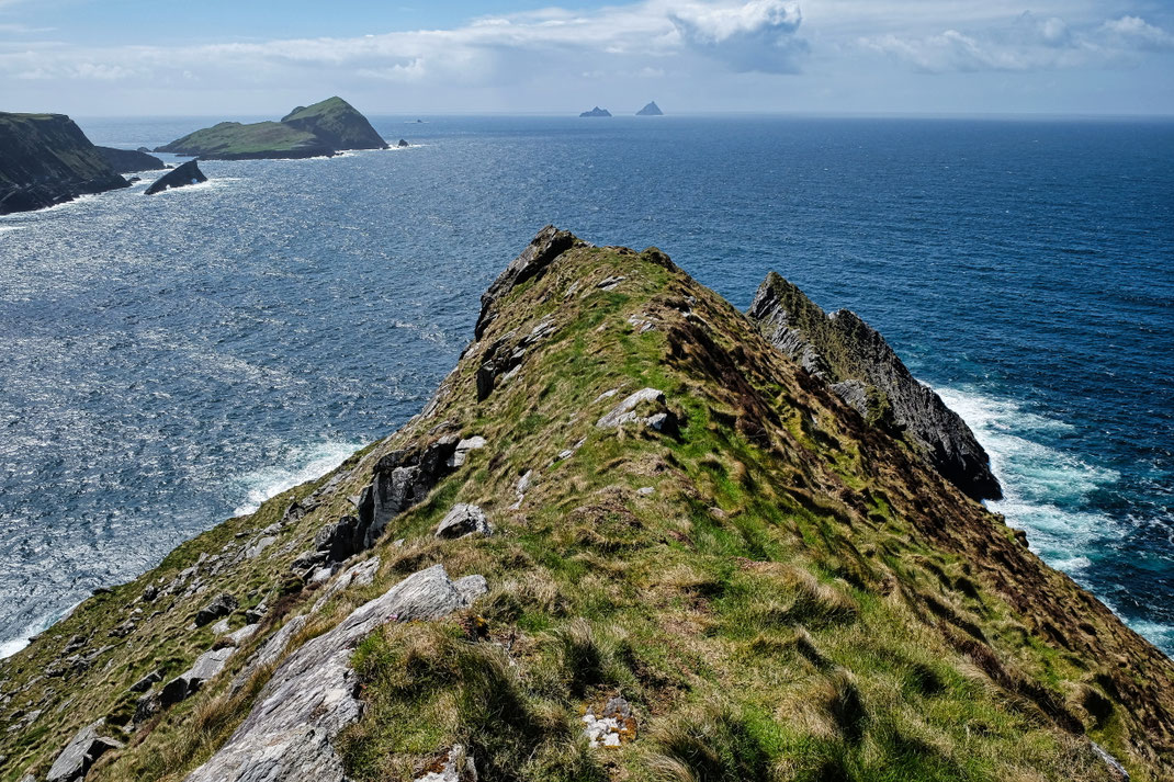 Puffin Island and Skellig Michael 