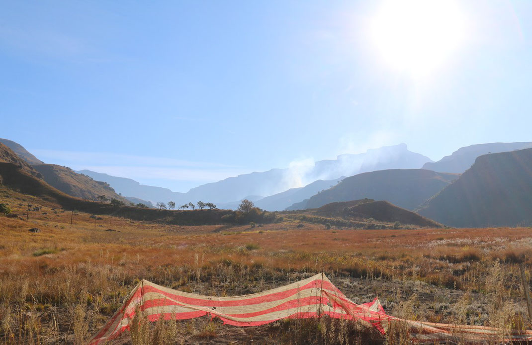 Le Drakensberg