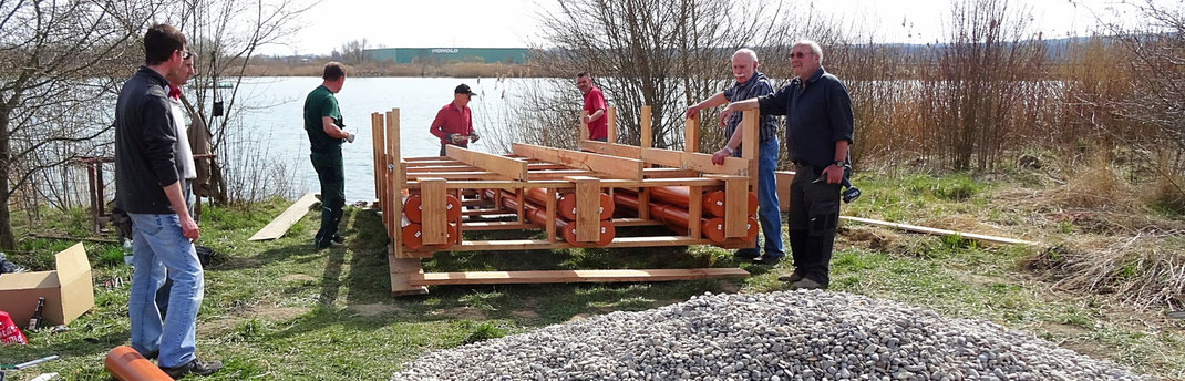 Brutfloß Flussseeschwalbe Naturschutz Artenschutz Natursee Baggersee Wullenstetten LBV Neu-Ulm