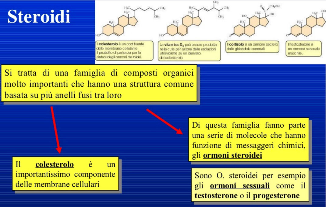 Classi Seconde BIOLOGIA Benvenuti su magariservisse! Classi Seconde BIOLOGIA Benvenuti su magariservisse!
