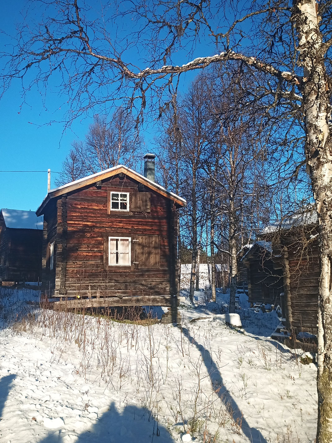 Ammarnäs Vindelälvens naturreservat Västerbotten Norrbotten Sverige bodarna