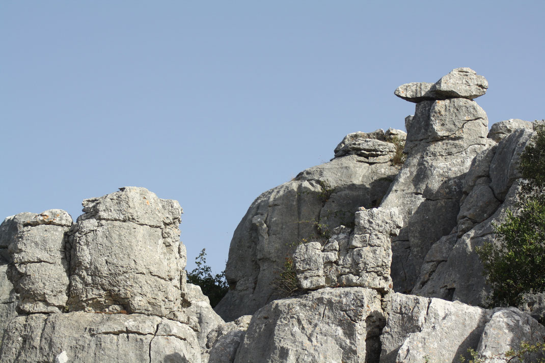 Het konijn is eigenlijk wel een van mijn mooiste foto's hier in El Torcal. 