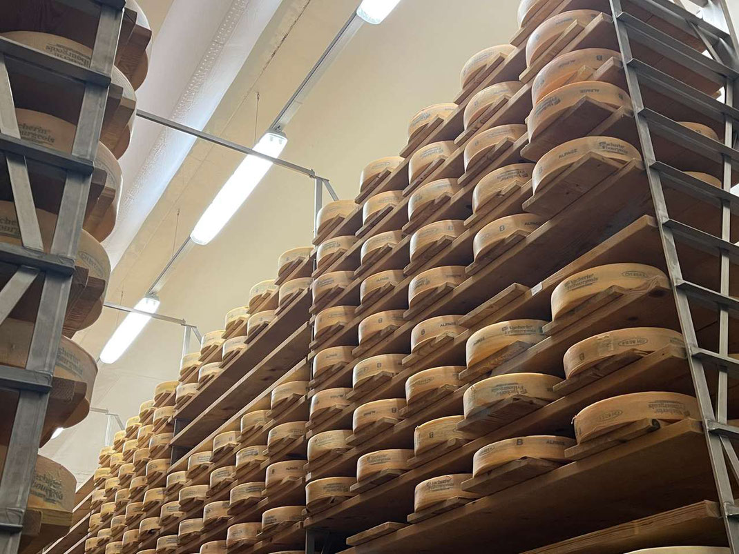 Im Keller Caves de la Tzintre in Charmey reifen viele Tonnen Vacherin-Alpkäse. Quelle: Fahrettin Calislar