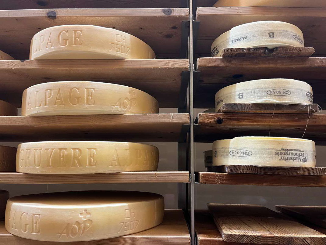 Die heilige Zweifaltigkeit des Freiburger Käses: Gruyère und Vacherin Fribourgeois AOC. Quelle: Fahrettin Calislar