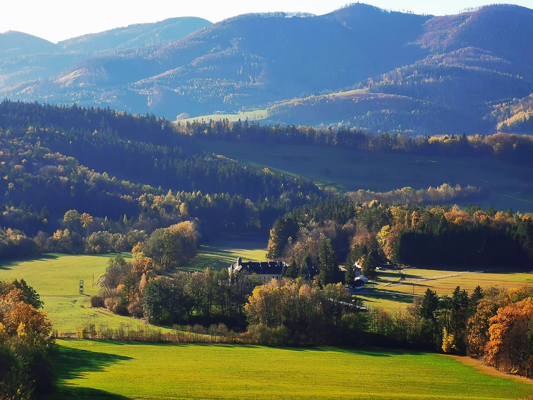 16ha ist unser Grundstück groß, samt Wald, Wiesen, Felder, Badeteich, Wohn- und Nebengebäude.