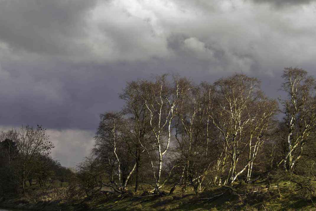 Vandaag donkere wolken boven de awd, 