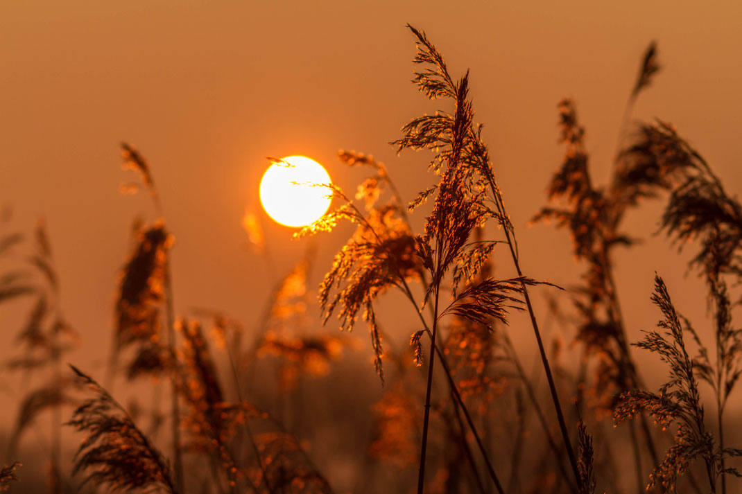 De zon komt op het was nog koud,