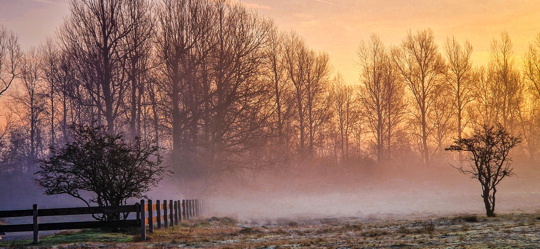 Mist met zon,