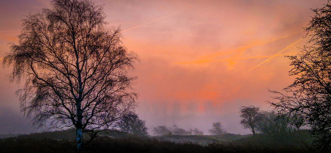 Zon opkomst met mist,