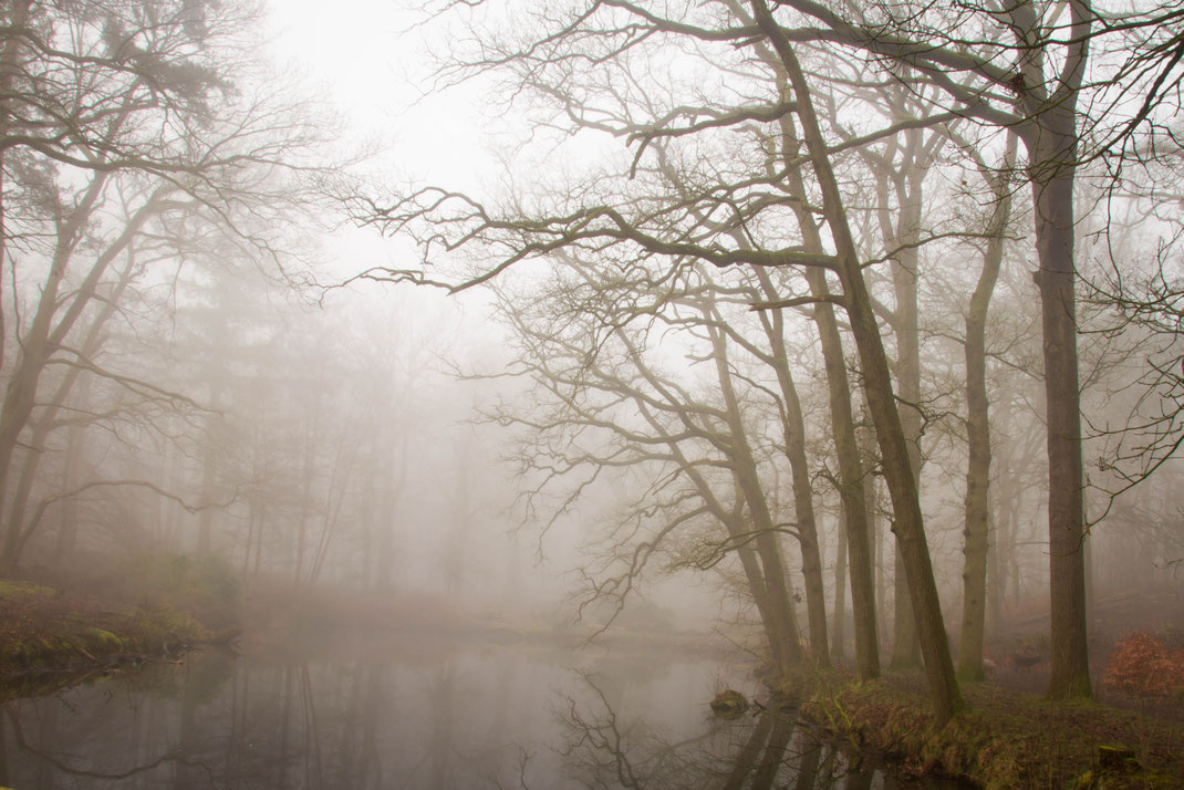 Mist in de sloot,