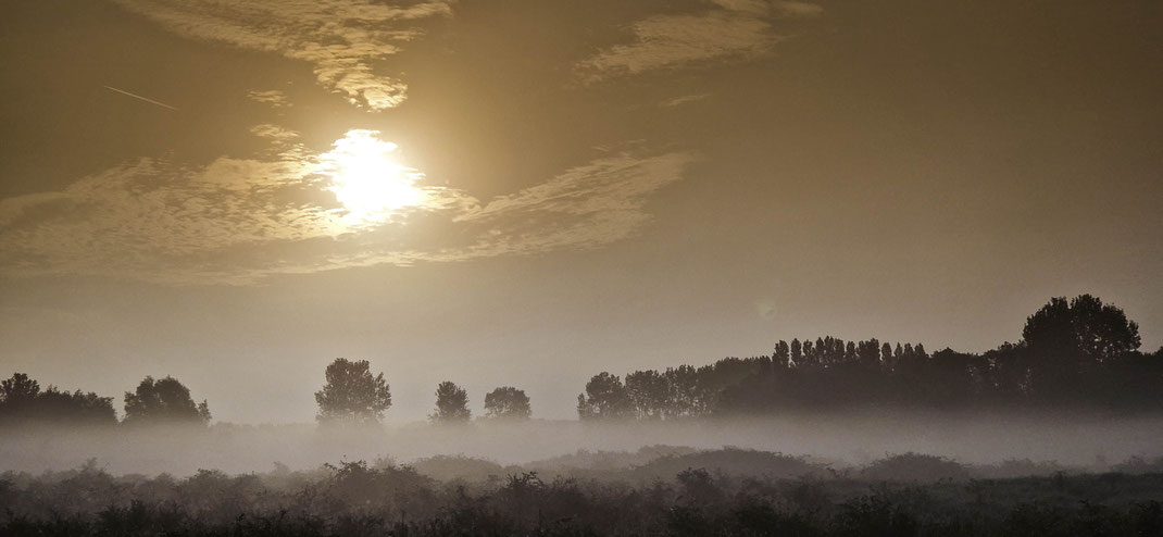 Mist heeft iets mysterieus 