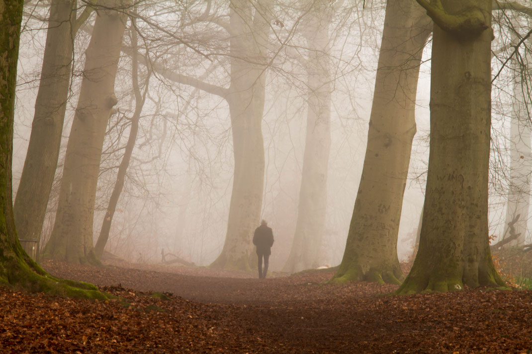 Wandeling met mist,