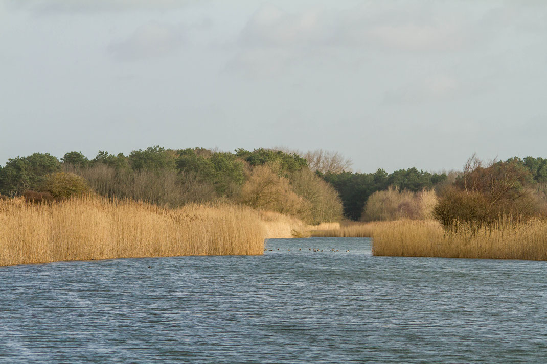 Watergebied in de AWD