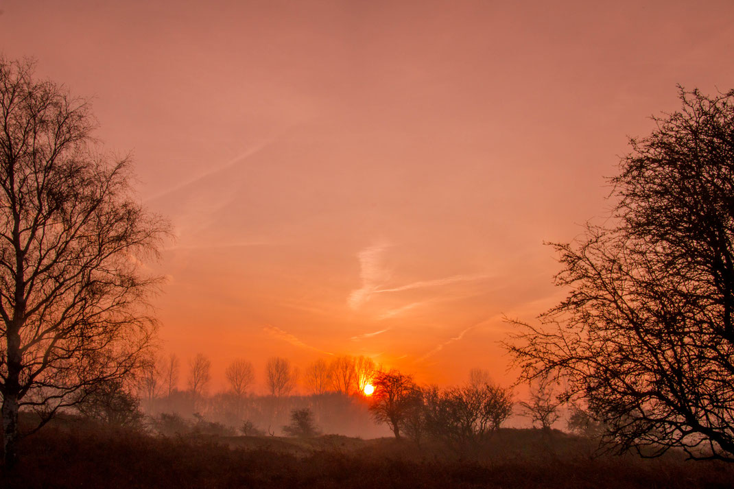 Oranje lucht en mist,