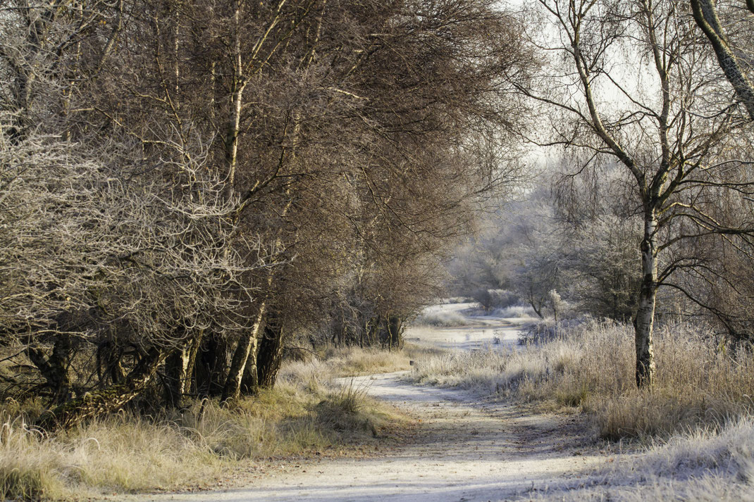 Winters weer,