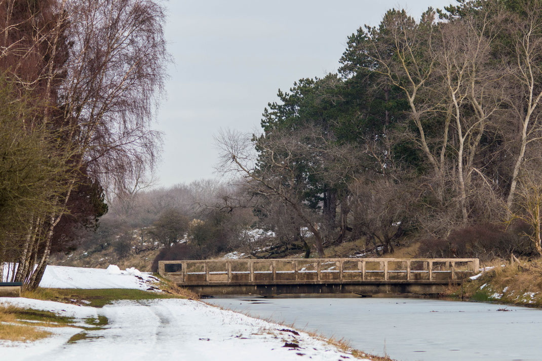 Winter landschap,