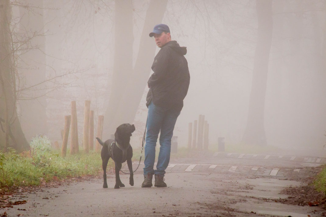 Man met hond in de mist,