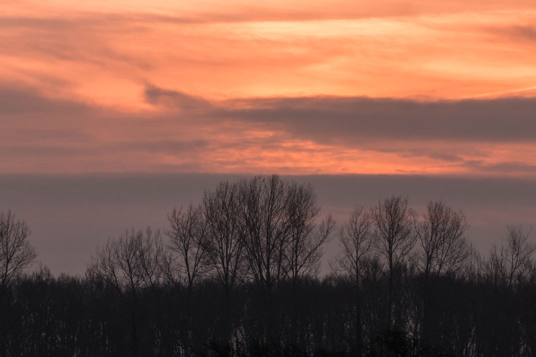 Zon opkomst.