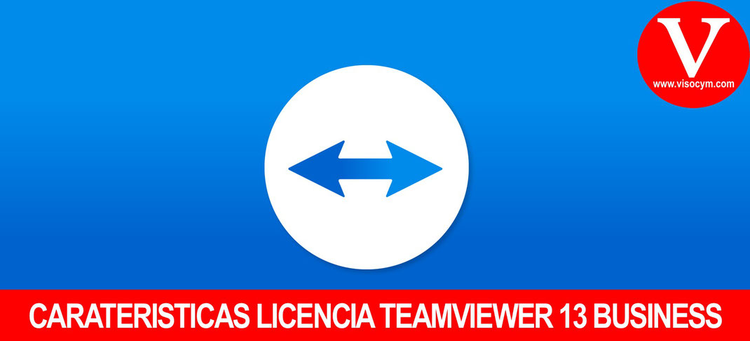 CARACTERÍSTICAS TEAMVIEWER 13 BUSINESS