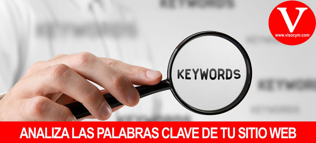 ANALIZA LAS PALABRAS CLAVE DE TU SITIO WEB