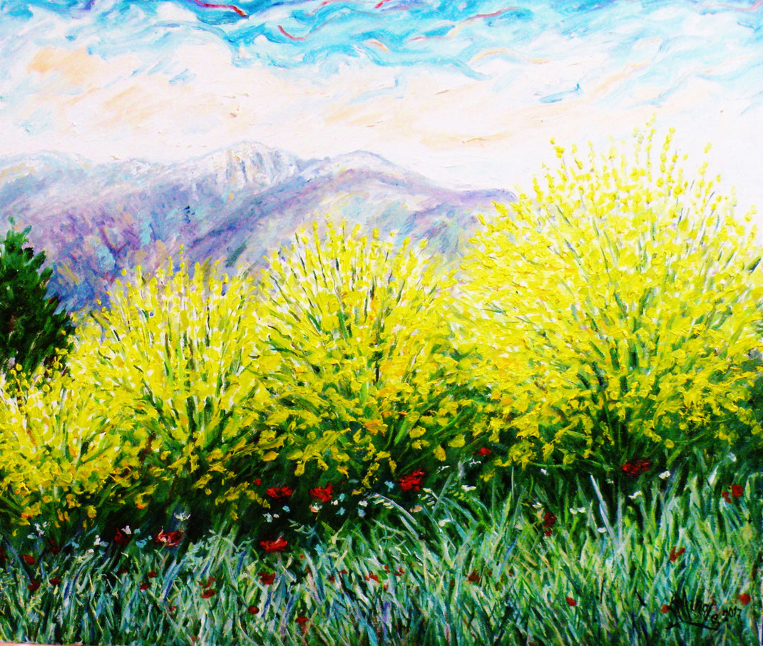 Gaetano Minale - GINESTRE ALLA MAJELLA - Olio su tela 100 x 80