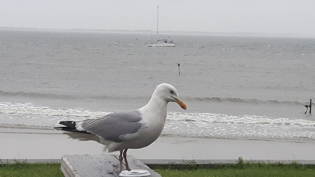 Genießen Sie die ruhige und trotzdem sehr zentrale Lage am Weststrand von Norderney!