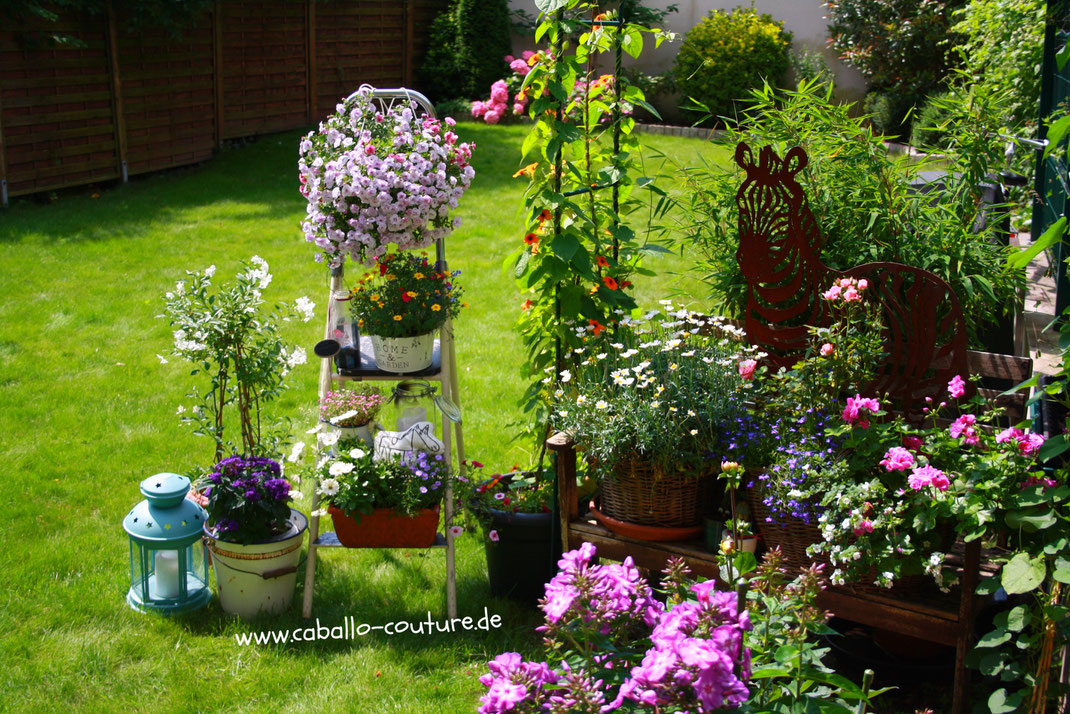 Caballo Couture; Upcycling Leiter; Trittleiter; Blumenleiter; Blumenampel; Gartendeko; Idee Balkon; Balkonblumen; Gartendekoration; Gartenzwerg; Kleiner Balkon; Terrasse Blumen; Garten Sichtschutz Garten; Sichtschutz Balkon