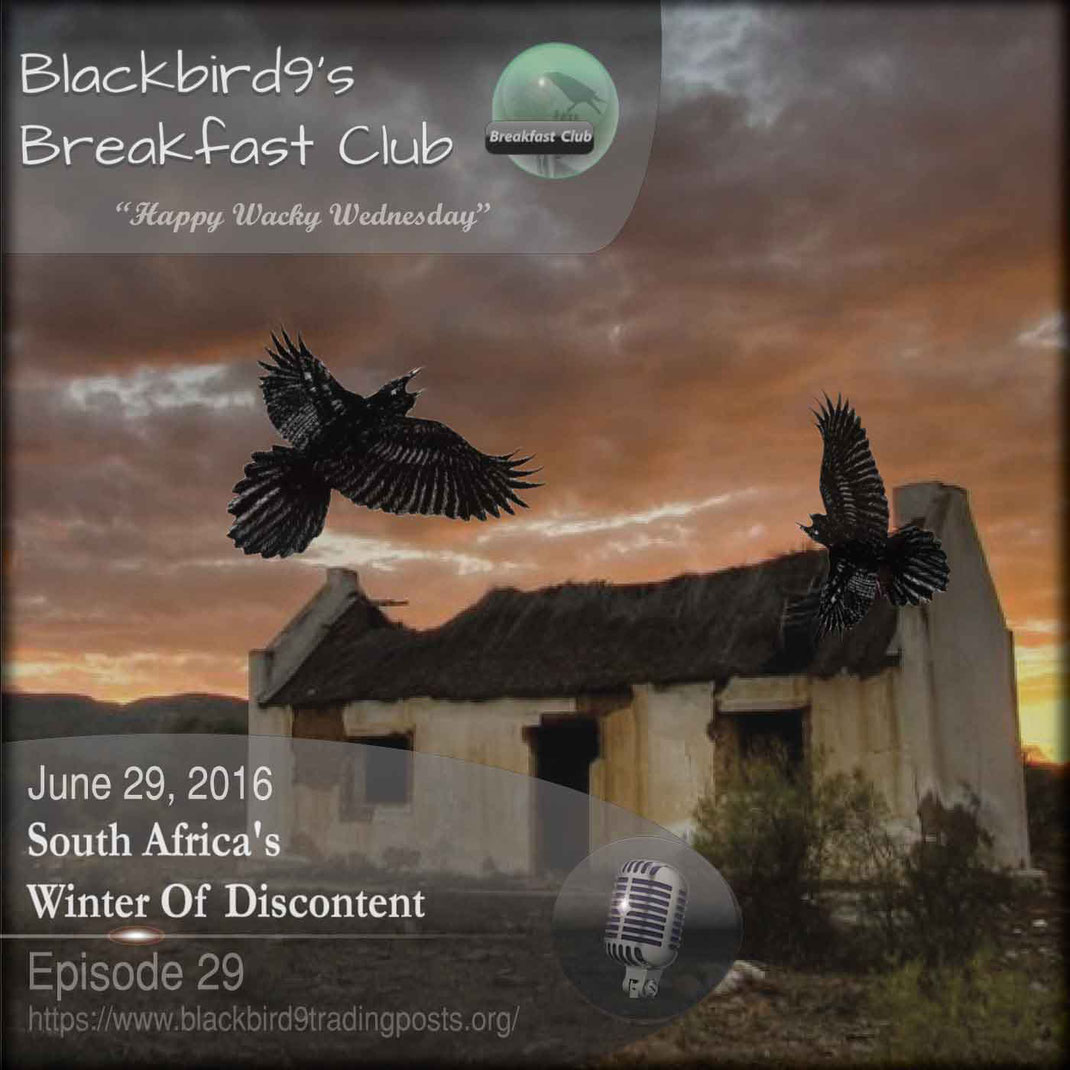 South Africa's Winter Of Discontent - Blackbird9