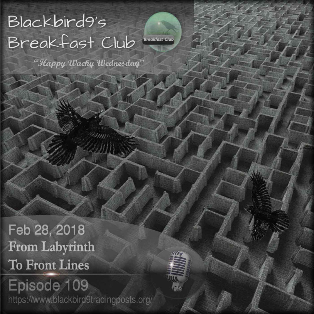 From Labyrinth To Front Lines - Blackbird9