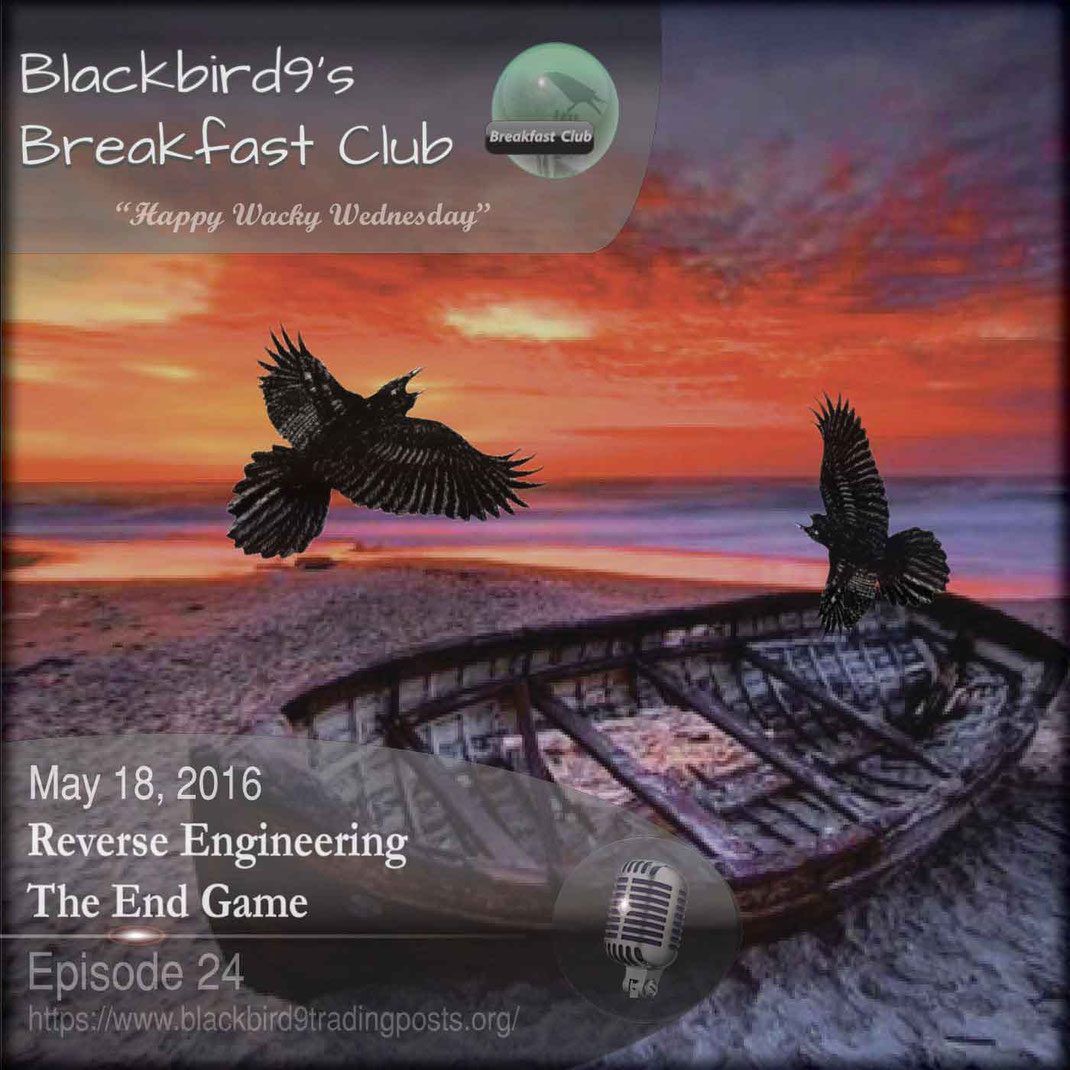 Reverse Engineering The End Game - Blackbird9