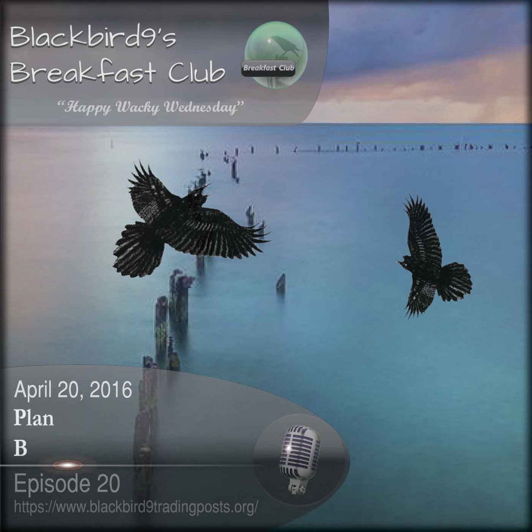 Plan B - Blackbird9