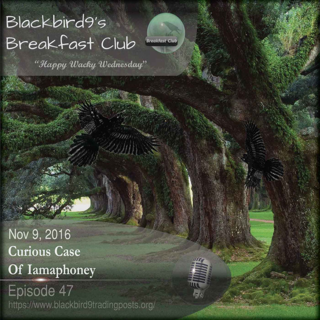 The Curious Case Of Iamaphoney - Blackbird9 Podcast