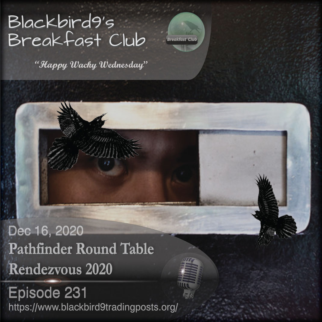 Pathfinder Round Table Rendezvous 2020 - Blackbird9