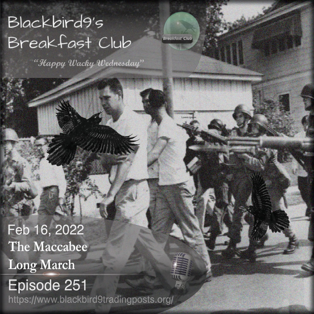 The Maccabee Long March - Blackbird9