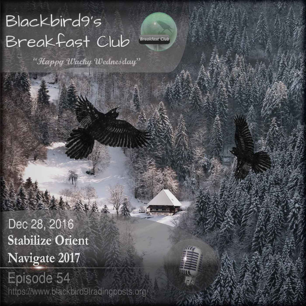 Stabilize Orient Navigate 2017 - Blackbird9 Podcast