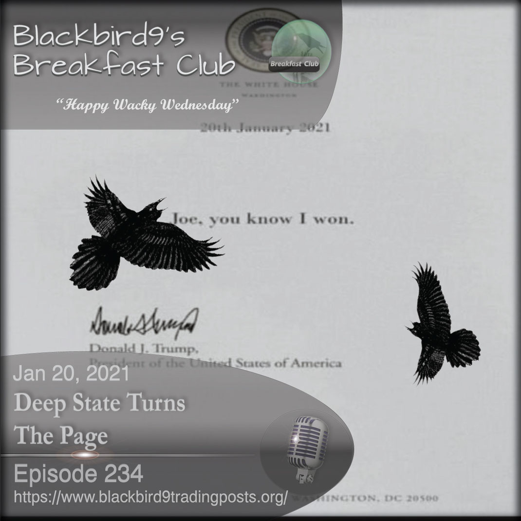 Deep State Turns The Page - Blackbird9