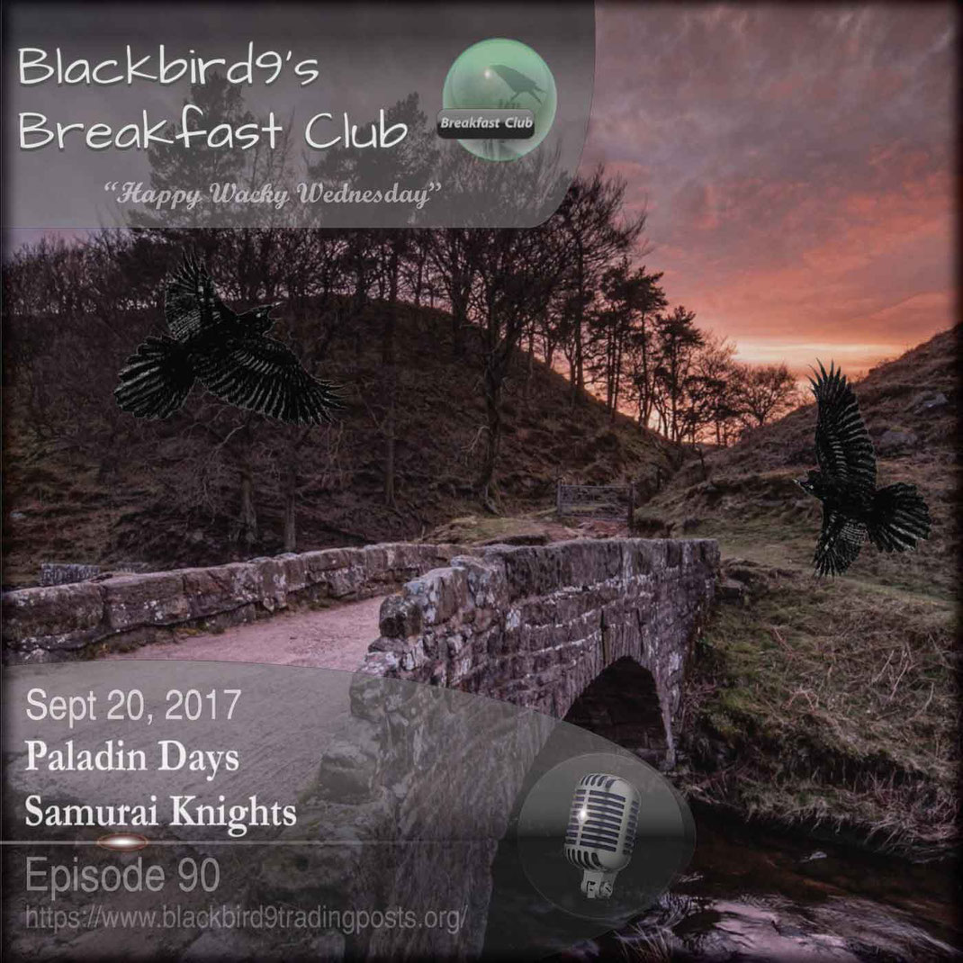 Paladin Days Samurai Knights - Blackbird9