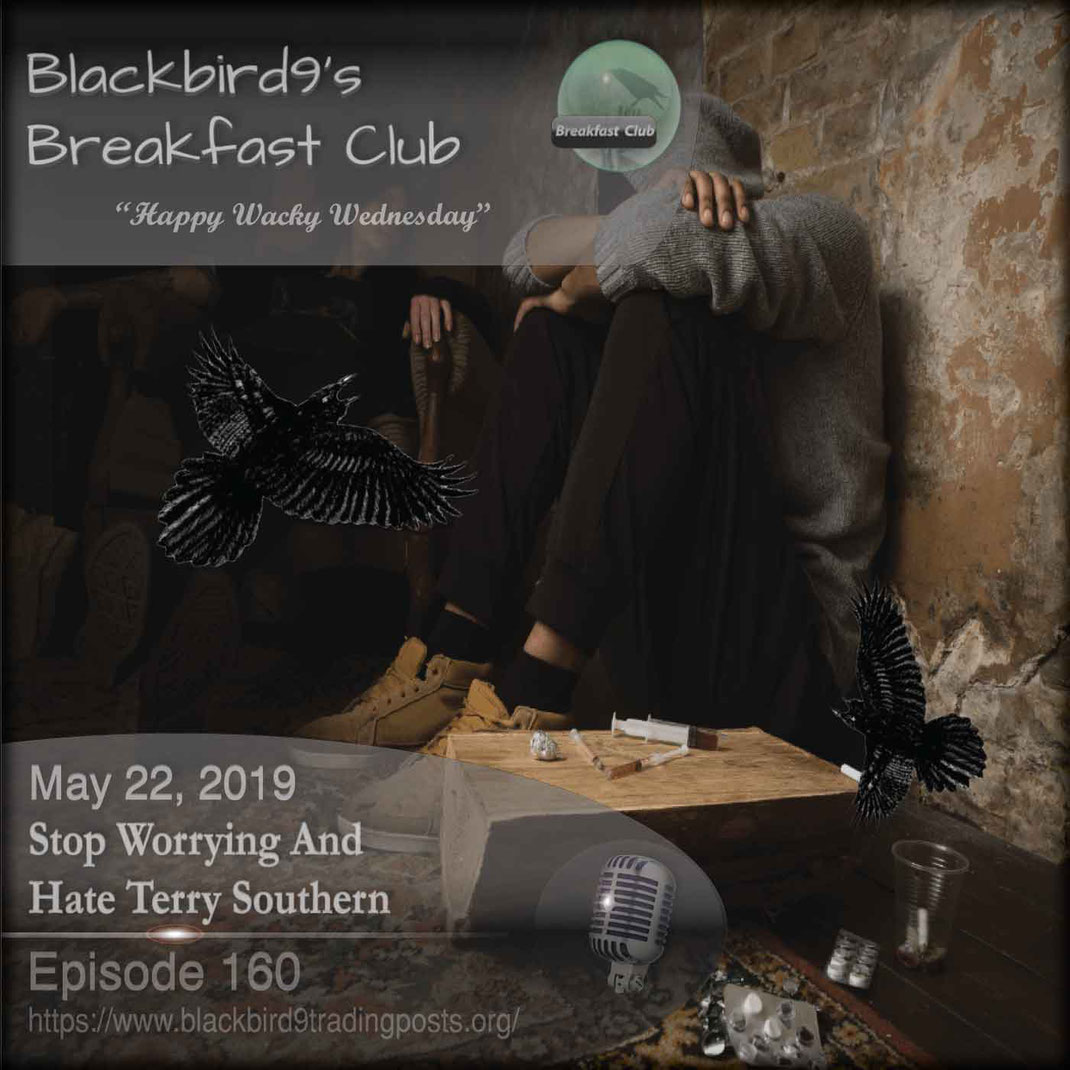 Stop Worrying And Hate Terry Southern - Blackbird9