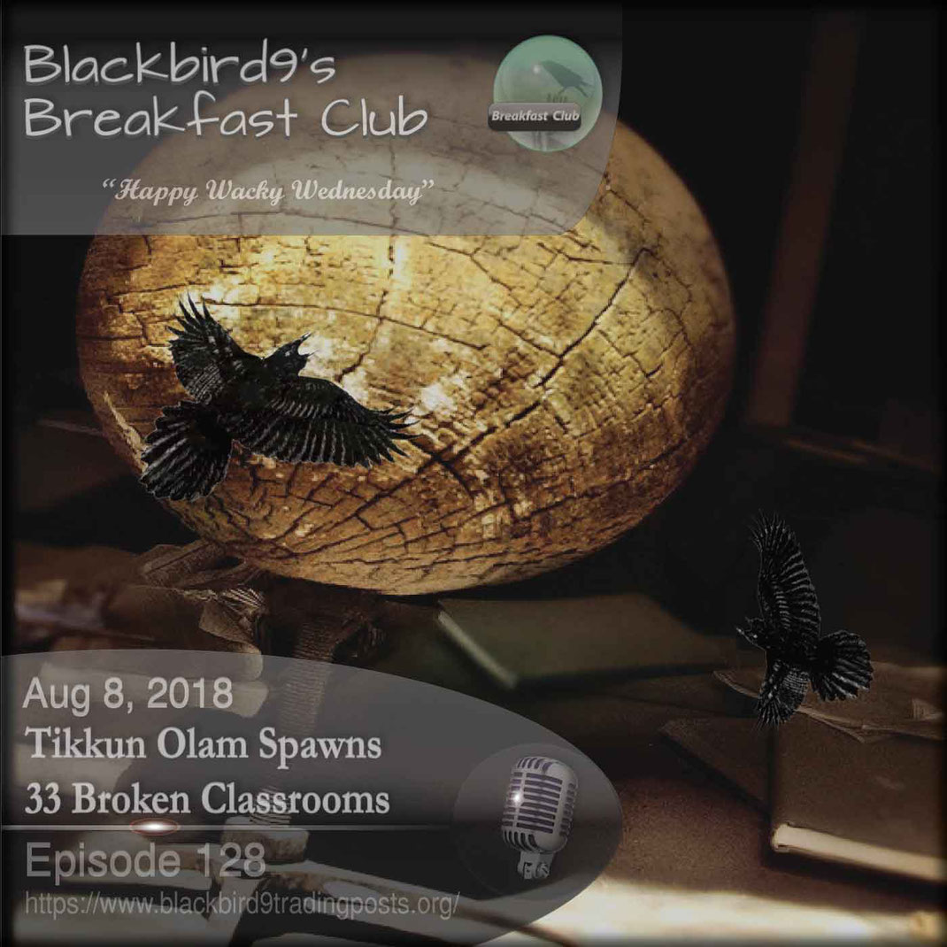 Tikkun Olam Spawns 33 Broken Classrooms - Blackbird9