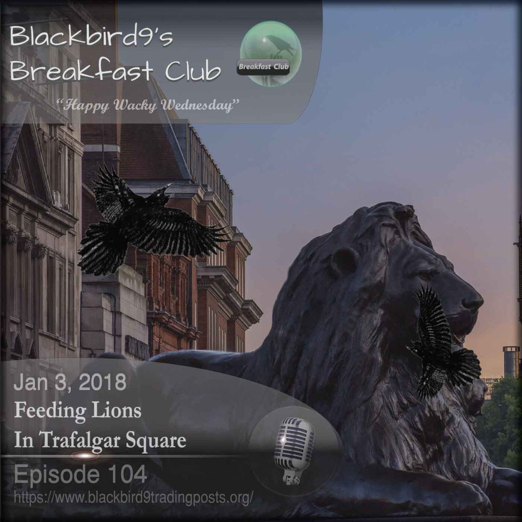 Feeding Lions In Trafalgar Square - Blackbird9