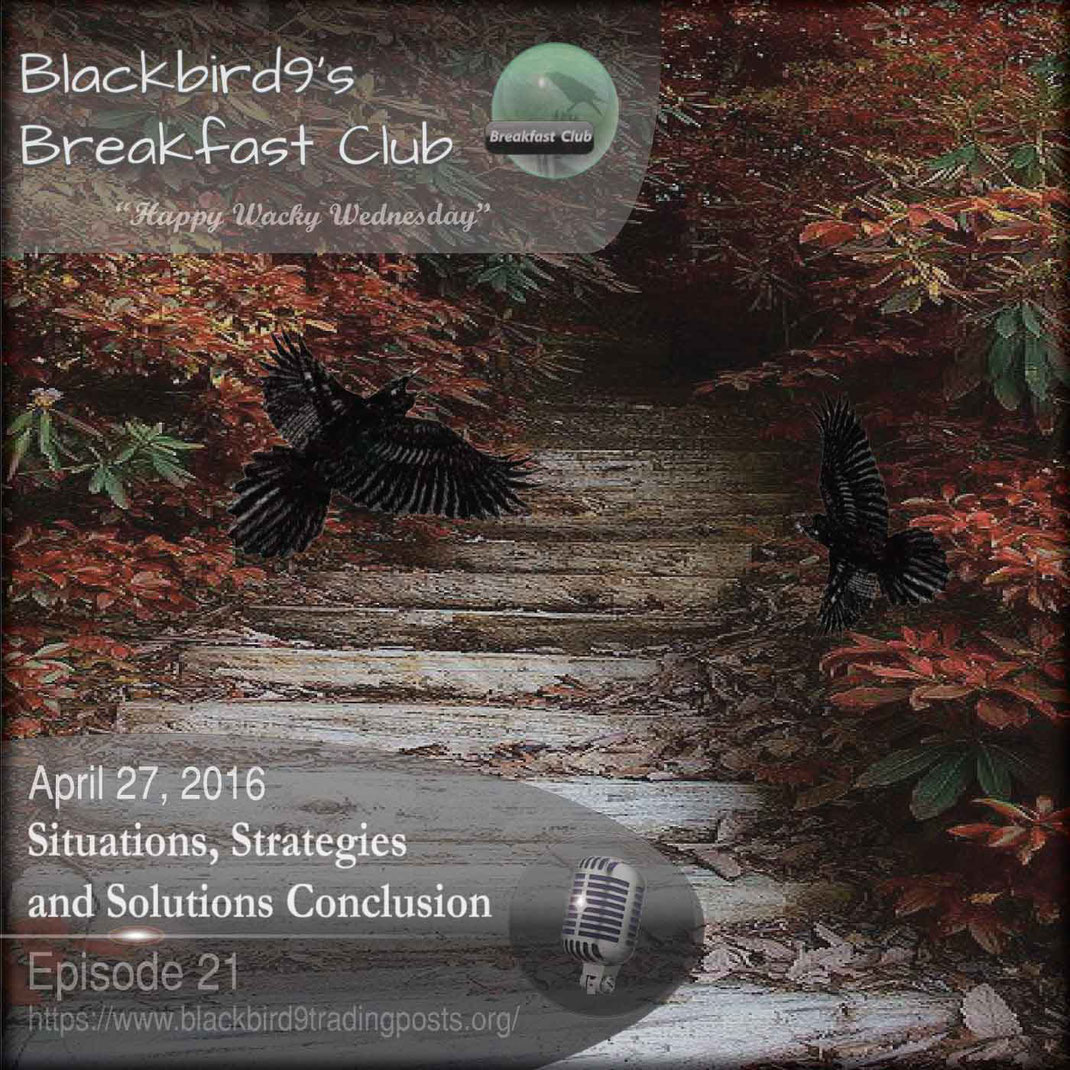 Situations, Strategies and Solutions Conclusion - Blackbird9