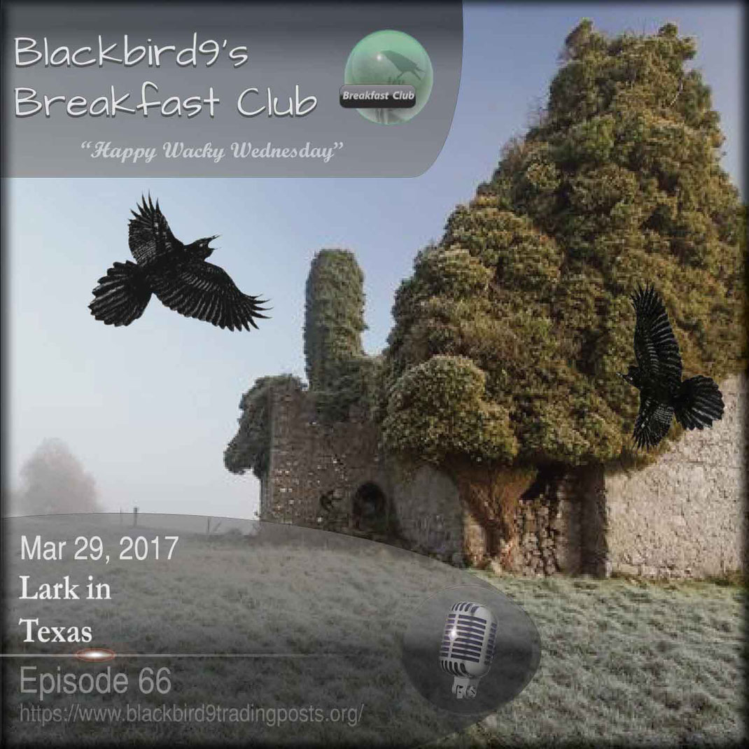 Lark In Texas - Blackbird9