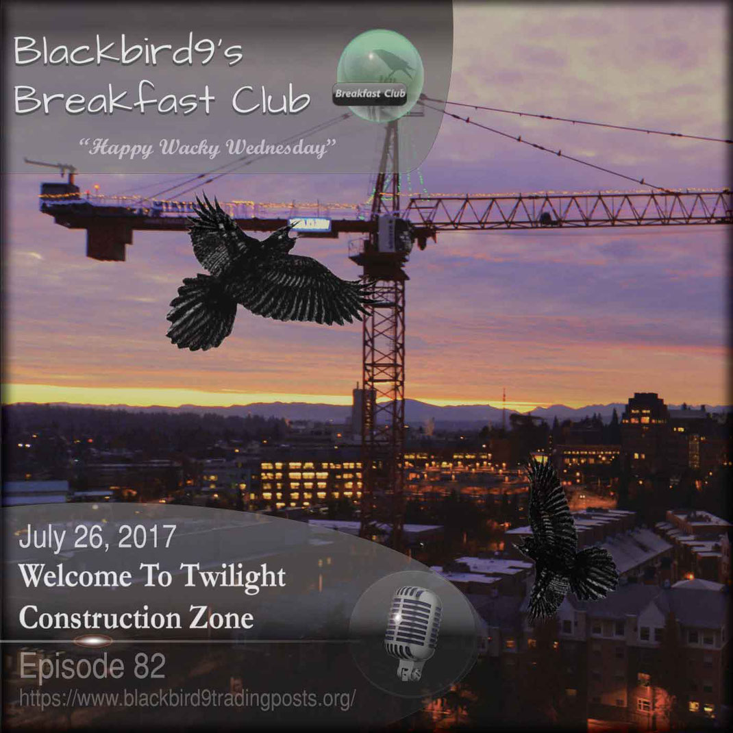 Welcome To Twilight Construction Zone  Blackbird9